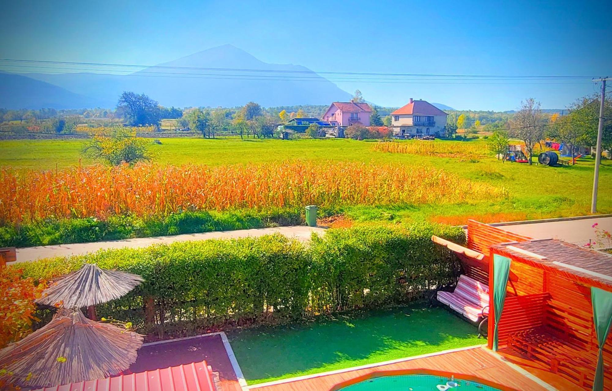 Villa Saturea Boljevac ภายนอก รูปภาพ