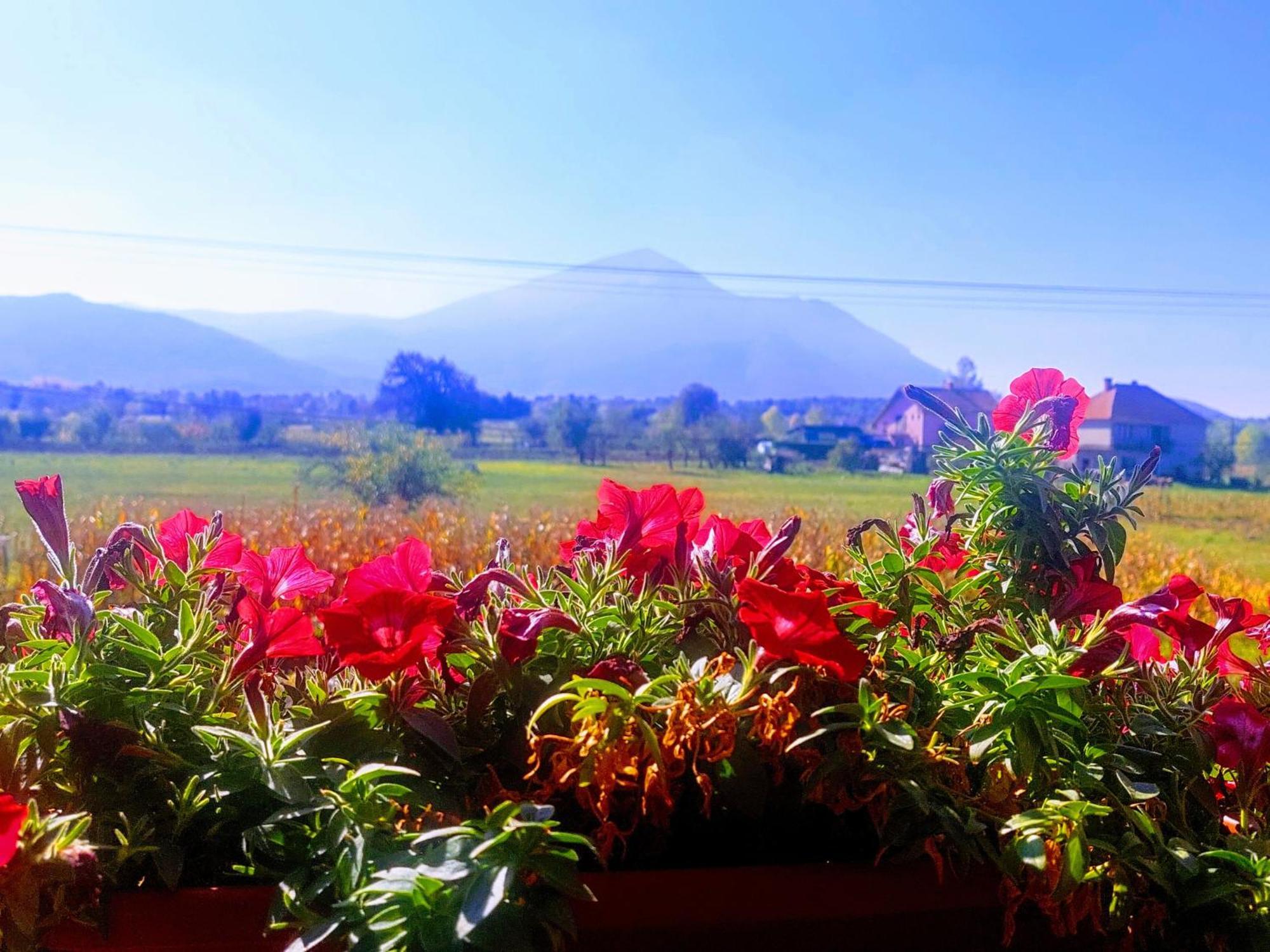 Villa Saturea Boljevac ภายนอก รูปภาพ